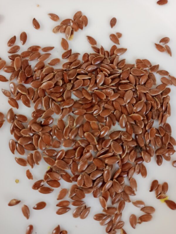 Flaxseeds
