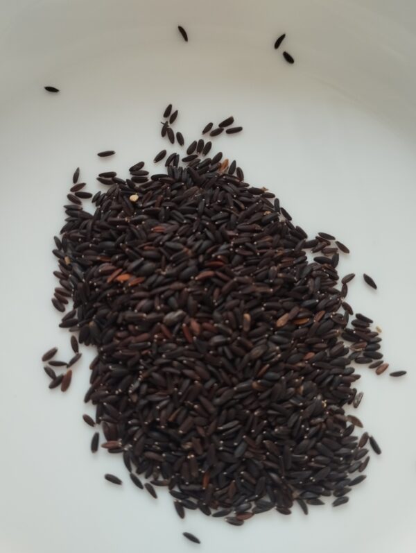 Basil Seeds (Tukh Malanga)